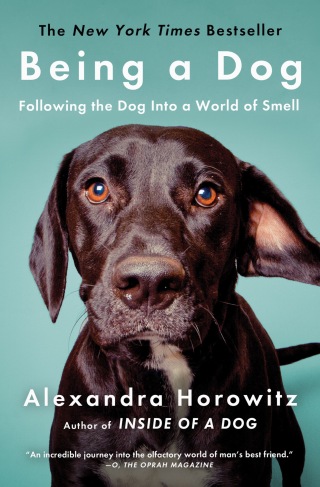 Cover image: Being a Dog 9781476796024