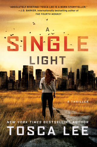 Cover image: A Single Light 9781501169083