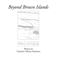 Cover image: Beyond Brown Islands 9781436307147
