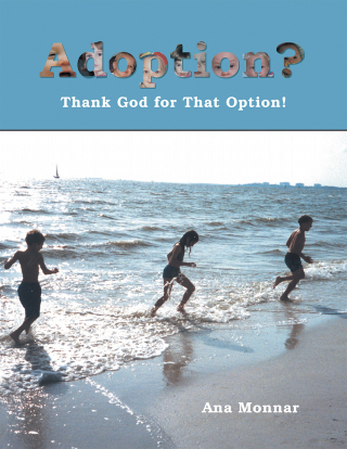 Imagen de portada: Adoption? 9781401083397