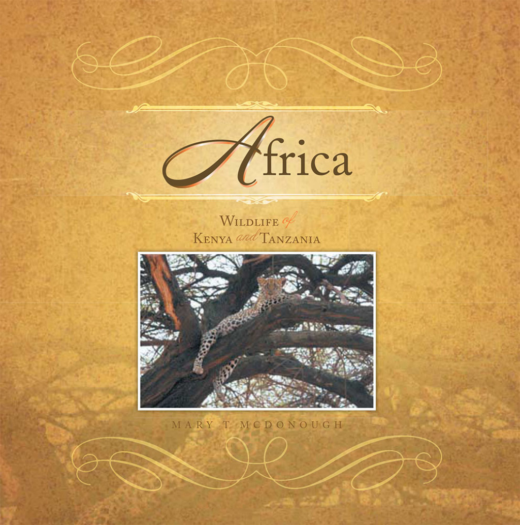Africa Wildlife of Kenya and Tanzania