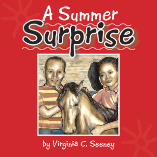 Cover image: A Summer Surprise 9781425726577