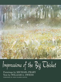 Imagen de portada: Impressions of the Big Thicket 9780292738317