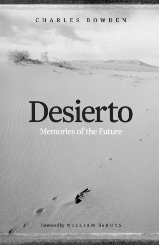 Imagen de portada: Desierto 9781477316580