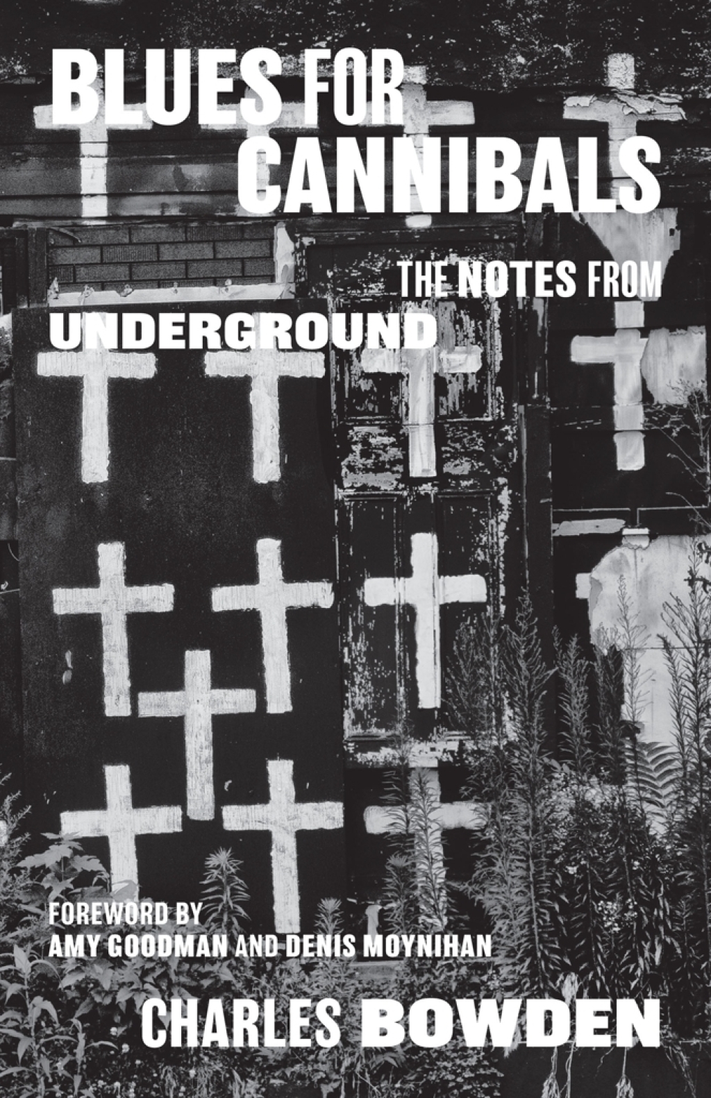 Blues for Cannibals The Notes from Underground
