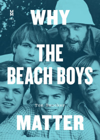 صورة الغلاف: Why the Beach Boys Matter 9781477318720
