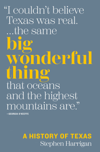 Immagine di copertina: Big Wonderful Thing 9780292759510