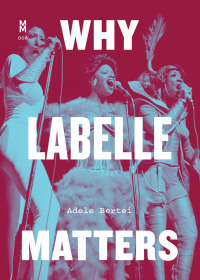 Titelbild: Why Labelle Matters 9781477320402