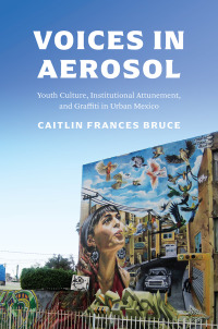 Cover image: Voices in Aerosol 9781477327678