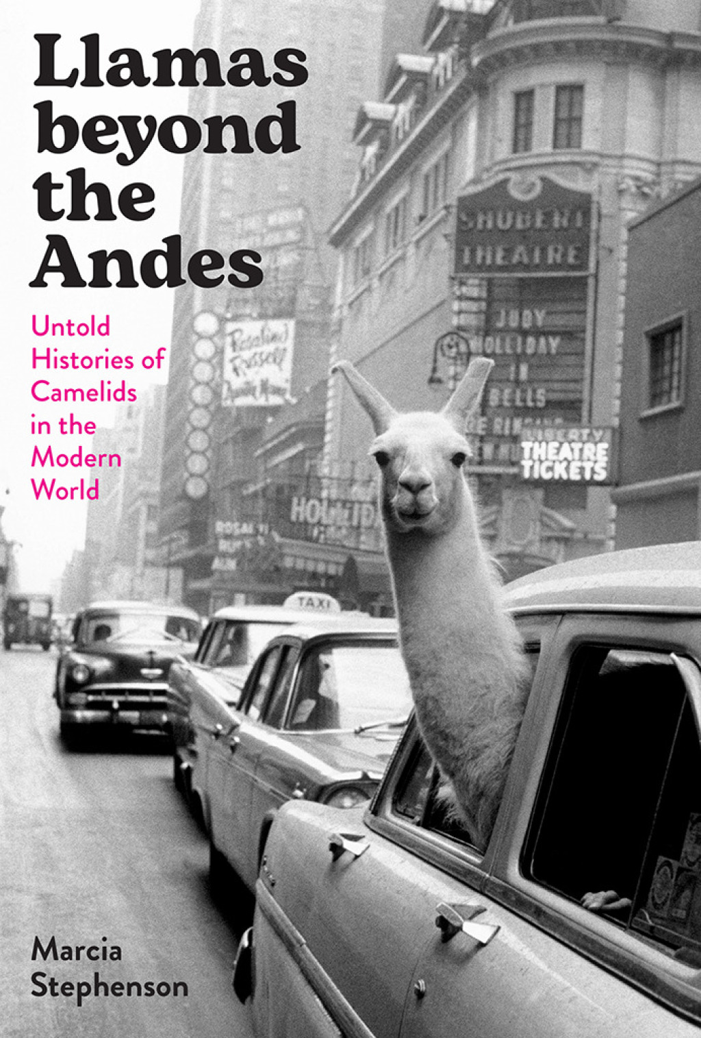 Llamas beyond the Andes Untold Histories of Camelids in the Modern World
