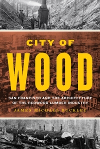 Cover image: City of Wood 9781477330241