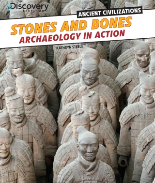 Cover image: Stones and Bones 9781477700532