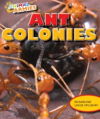 Cover image: Ant Colonies 9781477703021