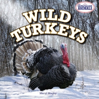 表紙画像: Wild Turkeys 9781477707876