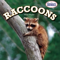 表紙画像: Raccoons 9781477707890