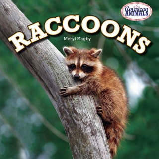 Cover image: Raccoons 9781477707890