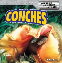 Cover image: Conches 9781477707968