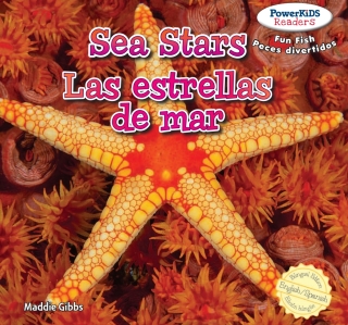 صورة الغلاف: Sea Stars / Las estrellas de mar 9781477712184