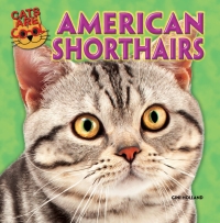 Imagen de portada: American Shorthairs 9781477712771