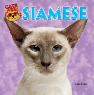 Cover image: Siamese 9781477712801