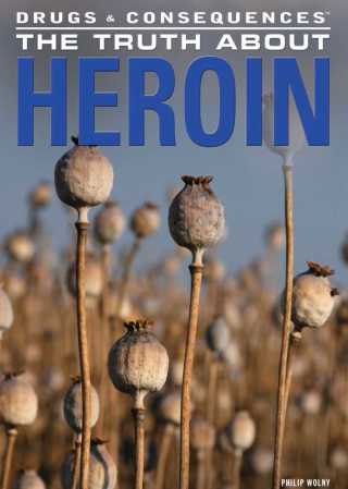 Cover image: The Truth About Heroin 9781477718988