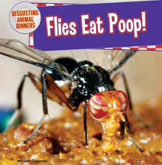 Cover image: Flies Eat Poop!: 9781477728857