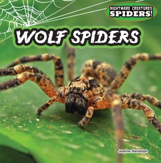 Titelbild: Wolf Spiders: 9781477728901