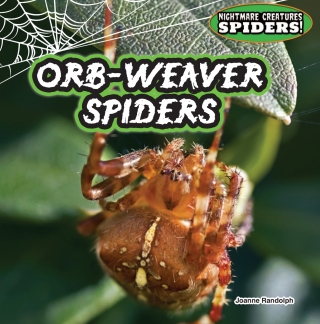 Cover image: Orb-Weaver Spiders: 9781477728932