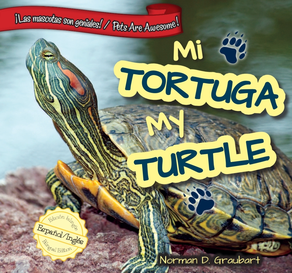 Mi tortuga / My Turtle