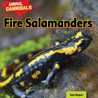 Imagen de portada: Fire Salamanders 9781477757611
