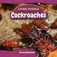 Cover image: Cockroaches 9781477758137