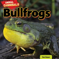 Imagen de portada: Bullfrogs 9781477758182