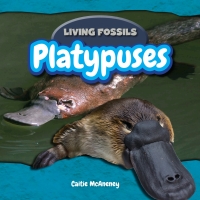 Cover image: Platypuses 9781477758397