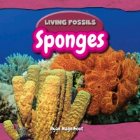 صورة الغلاف: Sponges 9781477758441