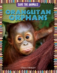 Imagen de portada: Orangutan Orphans 9781477759066
