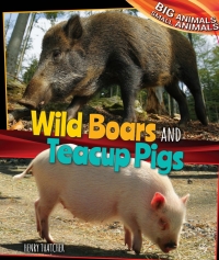صورة الغلاف: Wild Boars and Teacup Pigs 9781477760970