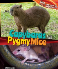 صورة الغلاف: Capybaras and Pygmy Mice 9781477761144