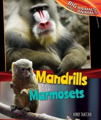 Imagen de portada: Mandrills and Marmosets 9781477761182
