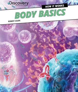 Imagen de portada: Body Basics 9781477763094
