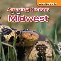 صورة الغلاف: Amazing Snakes of the Midwest 9781477764947