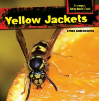 Cover image: Yellow Jackets 9781477765968
