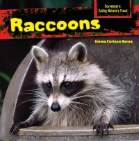 Omslagafbeelding: Raccoons 9781477765975