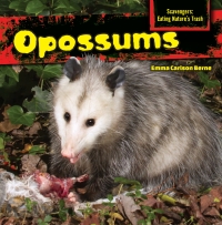 صورة الغلاف: Opossums 9781477766026