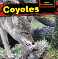 Imagen de portada: Coyotes 9781477766071