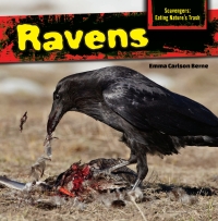 Cover image: Ravens 9781477766125