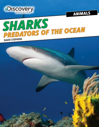 Imagen de portada: Sharks 9781477769263