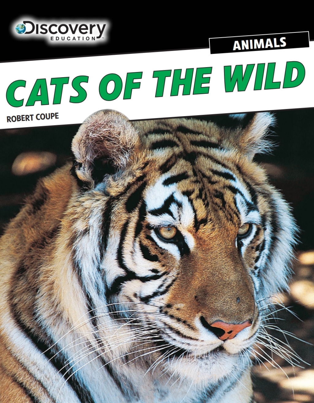 Cats of the Wild