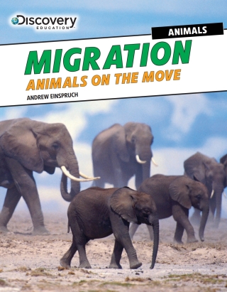 Cover image: Migration 9781477769485