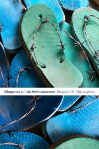 Cover image: Allegories of the Anthropocene 9781478004714