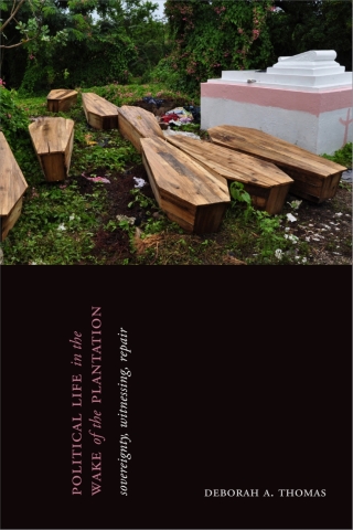 Cover image: Political Life in the Wake of the Plantation 9781478006695
